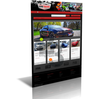 Car Rental 1
