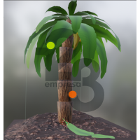 Bannana Tree
