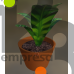 Low poly Plant in a pot